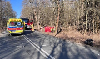 Śmiertelny wypadek w gminie Burzenin. Zginął motocyklista, droga wojewódzka zablokowana [Foto]