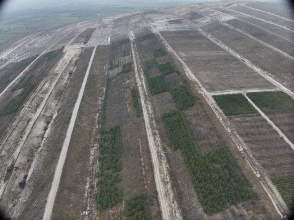 190 tys. drzew na zwałowisku zewnętrznym - kolejny etap rekultywacji w bełchatowskiej kopalni